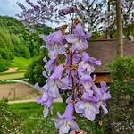 Campo de lujo Glamping Zeleni Turizem