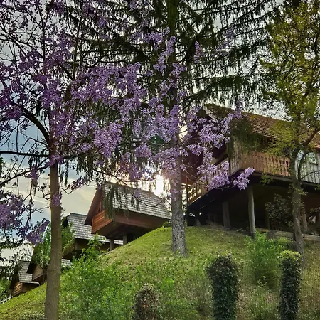 Glamping Zeleni Turizem Makole