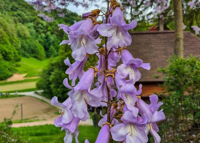 Luksusowy namiot Glamping Zeleni Turizem